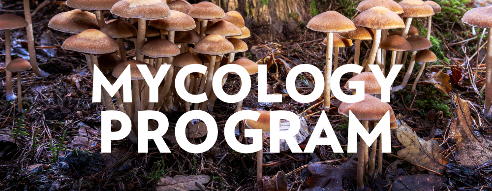 Mycology